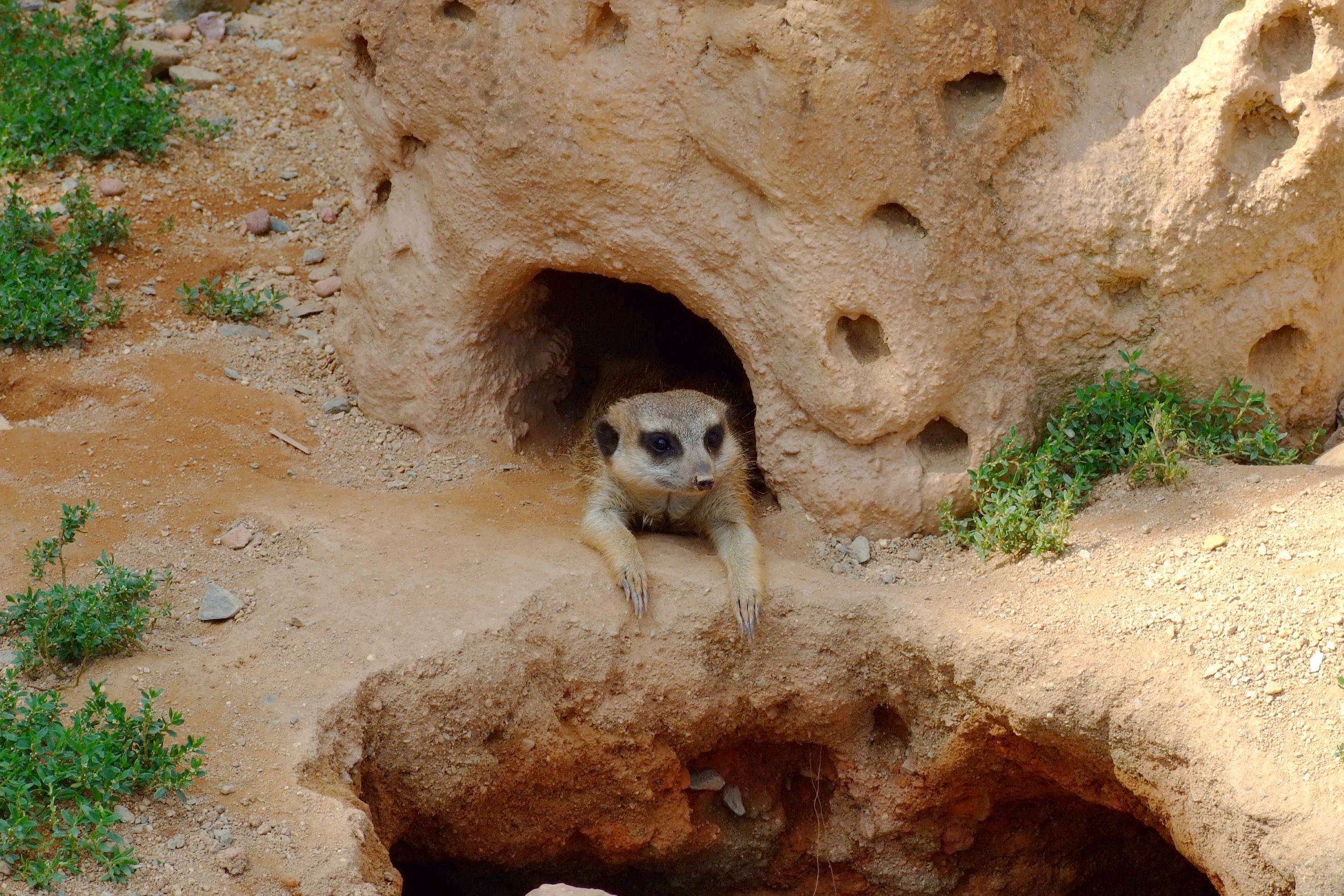 Den pří­rod­ních věd 3. 10. ZOO Brno, 1. a 3. mís­to